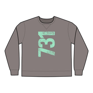 Mint 731 Area Code Faded Unisex Sweatshirt - Tucked & Threaded