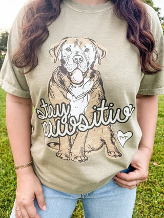 Stay Pawsitive Adult Unisex Tee - Tucked & Threaded