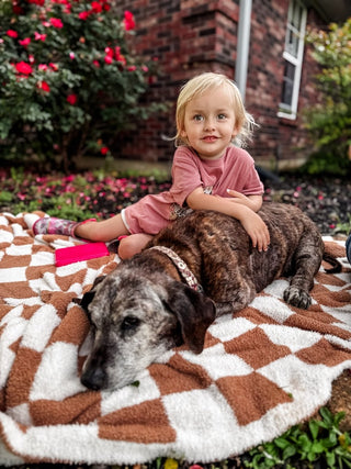 Stay Pawsitive Toddler Tee - Tucked & Threaded