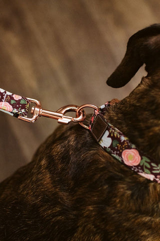 Burgundy Rosa Floral Dog Collar - Tucked & Threaded