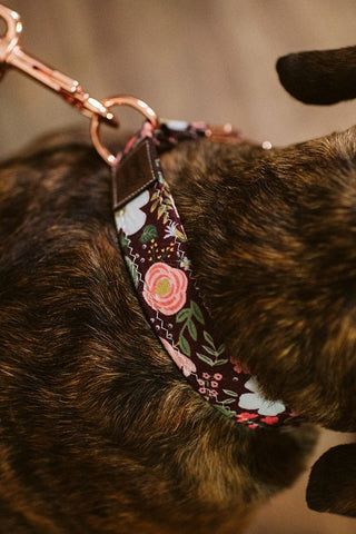 Burgundy Rosa Floral Dog Collar - Tucked & Threaded