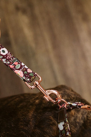 Burgundy Rosa Floral Dog Collar - Tucked & Threaded