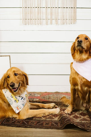 Pink Seersucker Dog Bandana - Tucked & Threaded
